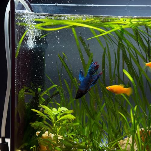 uxcell 20Pcs Aquarium Suction Cup Clip, 5mm Airline Tube Holders Clamps Cup Holder Sucker Tube Suckers for ID Airline Tubing Fish Tank, Clear