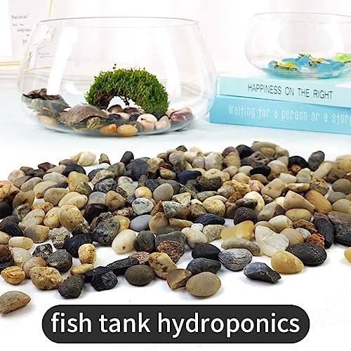 5LB Decorative River Rocks Gravel - 2/5/'' Mixed Color Gravel for Vase Filling, Flower Pot Paving. Gravel for Garden Decoration,Landscaping,Aquarium Aquascape Gravel, Fish Tanks Gravel. - size: 5LB, style: 8-12MM