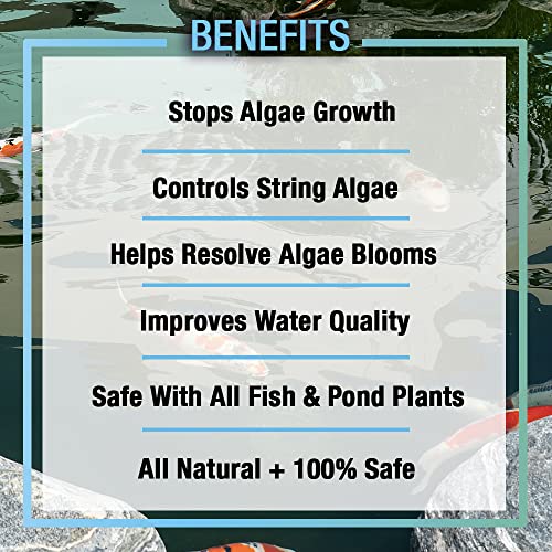 MICROBE-LIFT ALGA08 Algaway 5.4 Algae Control Treatment for Ponds and Water Gardens, Safe for Koi Fish, Goldfish, Plants, and Decorations, 8 Ounces - size: 8 Ounces