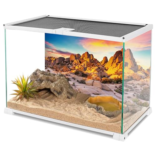 YongFoto Reptile Terrarium Background 30x18 inch Desert Rocky Bush Thorns Western Wilderness Reptile Habitat Background Bearded Dragon Fish Tank Aquarium Polyester Backdrop - color: Orange-1, size: 30 x 18 in