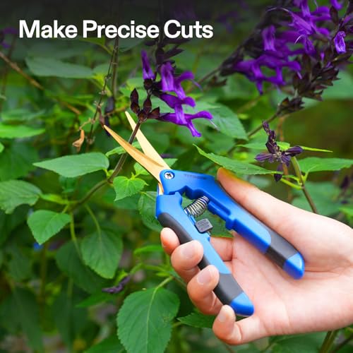 VIVOSUN 6-Pack 6.5 Inch Gardening Scissors Hand Pruner Pruning Shear with Titanium Coated Curved Precision Blades - style: Blue Curved Blade