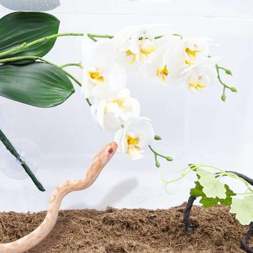2 Pcs Artificial Phalaenopsis Orchid with Suction Cups - Pink & Red Reptile Terrarium Plant Decor, Lifelike Plastic Hanging Vine for Aquarium Snake Gecko Hermit Crab Habitat Decoration