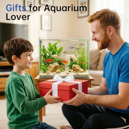 AQQA Automatic Fish Feeder for Aquarium, 200ML Large Capacity Fish Food Dispenser with Programmable LCD Timer, Moisture-Proof Silent Auto Feeder for Vacation, Betta Turtle Koi Goldfish Small Tank