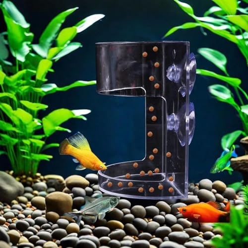 1 Pcs Fish Tank Feeding Tray with Suction Cup, Acrylic Feeding Tube Fish Food Holder, Automatic Fishing Feeder Aquarium Tank Divider Supplies, Breeder Box for Aquarium Accessories (Square) - color: Square