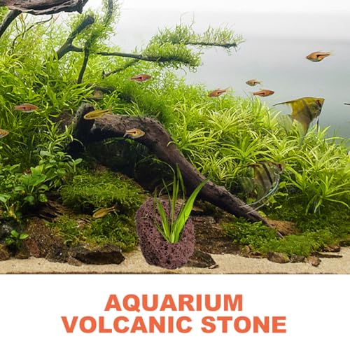 DOITOOL 6 Pcs Lava Rock for Aquarium, Volcanic Rock Pumice Stones Fish Tank Cave Decor, Aquatic Plant Fixer Anchor for Java Moss Anubias Aquascaping Shrimp Betta Turtle Tank Plants