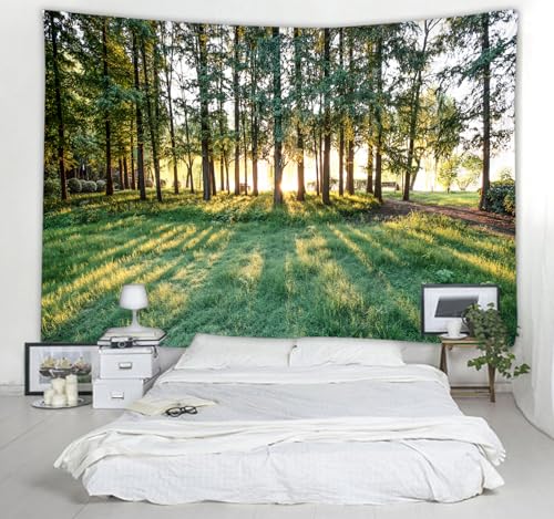 WODEJIA Sunrise Forest Tapestry, Green Trees Sunlight Landscape Wall Hanging, Nature Park Scenery Tapestries for Living Room Dorm, Large Aesthetic Wilderness Wall Art Decor Gift（79"x59"inches） - color: Sunrise Forest, size: 79"L x 59"W