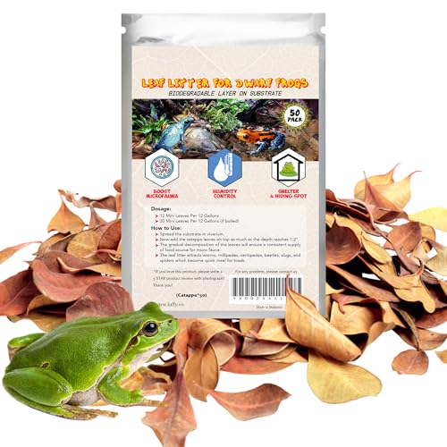 SunGrow Dwarf Frog Mini Catappa Leaves (50 Pc) - Tannin Helps Remove Ammonia, Lower pH - Leaf Litter Indian Almond Leaves, Aquarium Water Treatment, Decor Accessories
