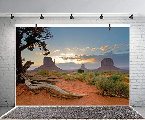 Leyiyi 7x5ft Monument Valley Photography Background American National Park Navajo Tribal Park Cowboy Western Desert Weathering Rock Warship Landmark Film Backdrop Polyester Terrarium Background - color: Desert2, size: 7x5ft-P