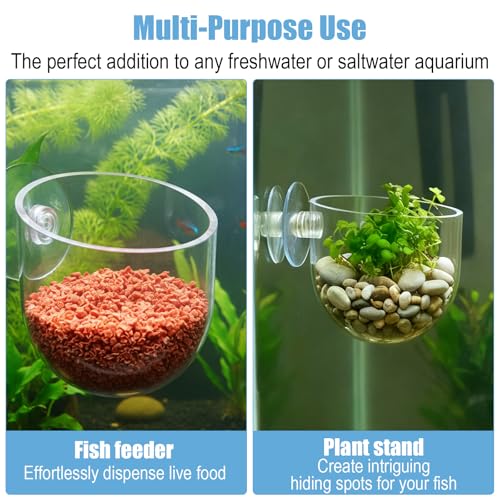 3 Pcs Fish Tank Plant Holder, 2 Size ABS Suction Cup Aquarium Plant Holder Transparent Fish Tank Plants Pots Aquatic Plants Cup for Aquascape Decoration