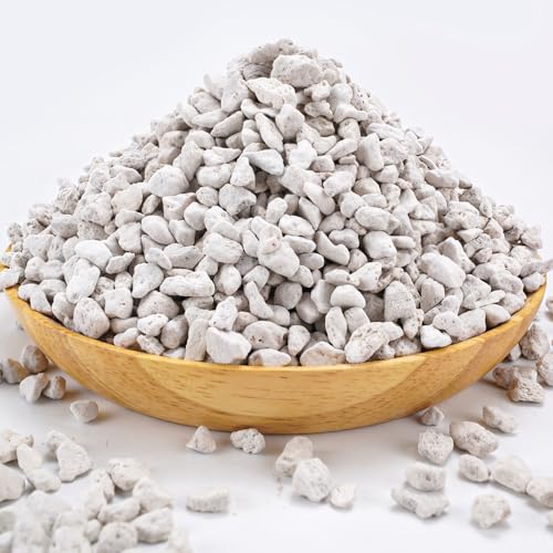 TOYPOPOR Horticultural Bonsai Pumice Succulent Cactus Plants Garden Turface Pumice Gravel Rock Tree Soil Additive Faster Draining Blend, Optimal Drainage, Improves Soil Aeration and Promotes Root 6lbs - color: Pumice Rock, size: 6 lb