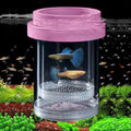 Floating Fish Breeding Isolation Box for Aquarium Tank Plastic Mesh Hatchery Incubator Breeder Box for Baby Fish Betta Shrimp Clownfish Guppy (Pink,Medium) - color: Pink