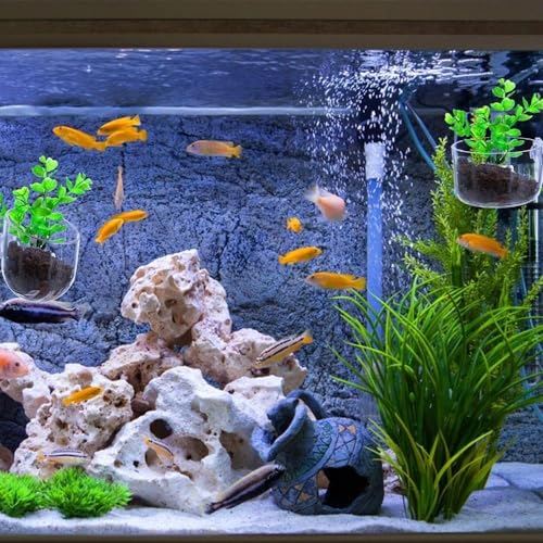 Oval Transparent Crystal Glass Aquatic Plant Pot, Aquarium Aquatic Planter Holder with Suction Cups for Fish Tank, Aquarium Aquascape Decoration Aquarium Décor Thematic Ornaments