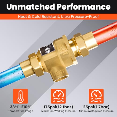 1/2" 9D-M3 Backflow Preventer, Brass Dual Check Valve with Intermediate Atmospheric Vent, 1/2 Inch back flow preventer valve Female Union, Vertical or Horizontal Install