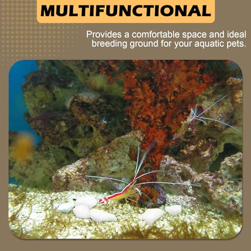 Shrimp Rocks for Aquarium, 3-oz