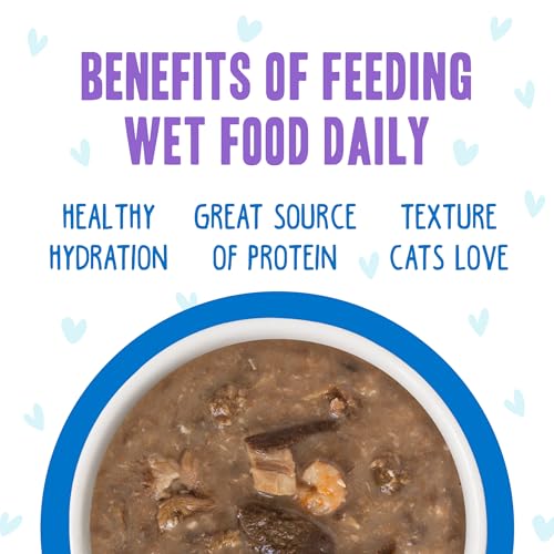 Weruva B.F.F. OMG - Best Feline Friend Oh My Gravy!, Ciao Baby! with Chicken & Shrimp in Gravy Cat Food, 2.8oz Pouch (Pack of 12) - size: 2.8 Ounce (Pack of 12)