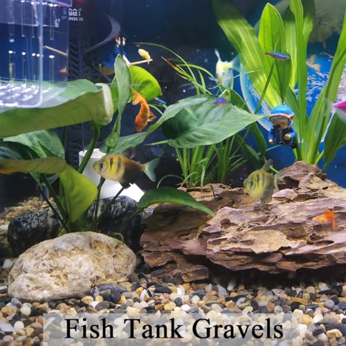 FANTIAN 5 lbs Aquarium Gravel, Pea Gravel for Fish Tank,1/4 Inch Decorative River Rocks for Aquarium Succulent Vase Plant Soil Cover and Outdoor Landscaping - size: 1/4 Inch