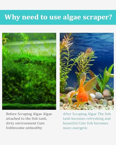 Stainless Steel Algae Scraper Aquarium Cleaning Tool for Glass Aquariums, Including Algae Scraper, Sponge Pad, Fish Net, Cleaning Brush, Adjustable Length, Durable, Does Not Hurt The Fish Tank