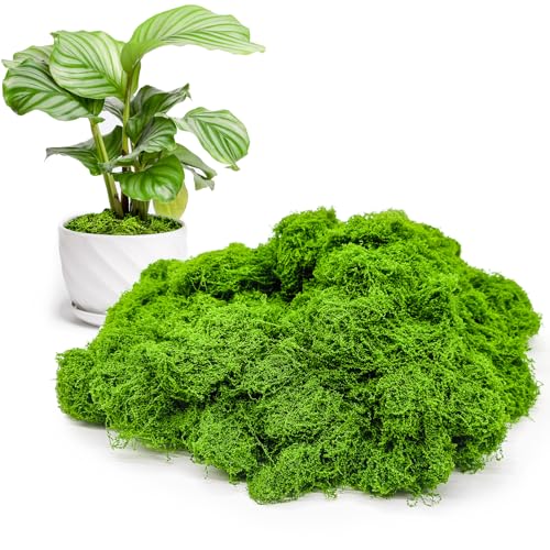 Fake Green Moss for Potted Plants Indoor, 5.3oz Artificial Moss for Crafts, Faux Decor for Fairy Garden, DIY Decorative, Model Making, Walls, Glass Containers, Home - color: Light Green 5.3oz