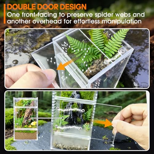 Jumping Spider Enclosure, Small Acrylic Terrarium, Magnetic Front & Top Opening, Bug Habitat for Jumping Spiders, Tarantulas, Praying Mantis, Snails (3.14" x 3.14" x 5.9") - size: Basic Vertical-Mini