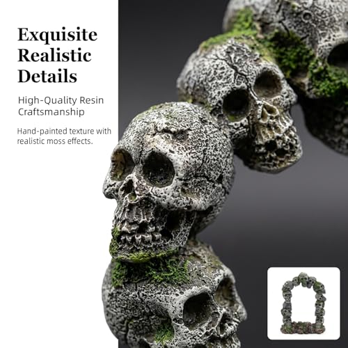relaqcc Aquarium Skull Cave Rocks, Reptile Tank Accessories, Fish Tank Decorations for Amphibians, Betta Fish, Shrimp, Hermit Crab, Leopard Gecko - style: Type-E