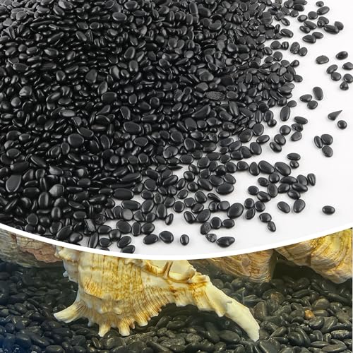 7lb 1/4" Small Pebbles Black for Plants,Potting,Succulents Aquarium Fish Tank Vases Decorative Garden Polished Gravel Rocks Stones - color: Black, size: 7lb