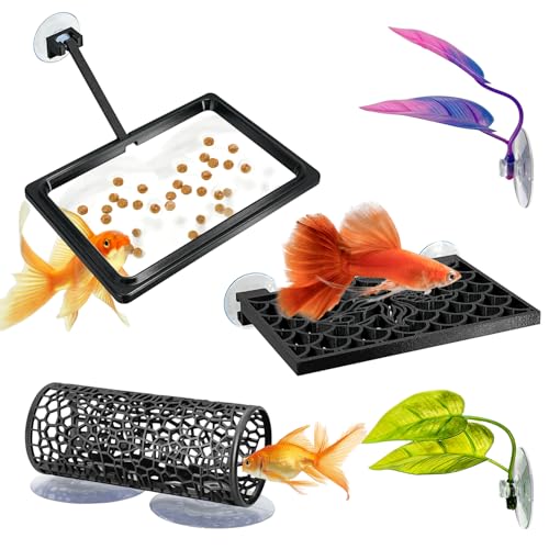 Betta Hammock & Fish Enclosure Accessories Set- Frond Hammock, Swim Tunnel, Feeding Station, Black Square Betta Platform - Breeding, Resting, and Play Area for Betta Fish