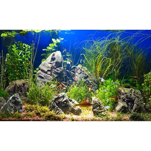 Underwater Aquarium Background Undersea Aquatic Plants Fish Tank Background Sandy Sea Floor Scene Terrarium Backgrounds Lush Green Sea Grass Moss Rock Scene Reptile Tank Enclosure Backgrounds 24x12in - color: Green_Blue, size: 24(W)x12(H)in