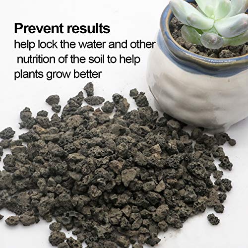 TOYPOPOR Black Horticultural Lava Rock Soil Additive for Cacti Succulents Plants No Dyes or Chemicals 100% Pure Volcanic Rock 2.2LB Top Dressing - color: Black Horticultural Lava Rock, size: 2.2 lb