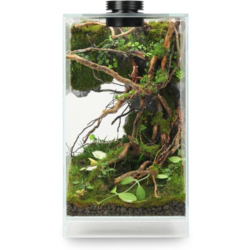 Desktop Glass Plant Terrarium with Grow Light(L7.8 W7.8 H14), for Succulent, Moss, Miniature Gardening Landscape, Betta Fish Tank, Indoor Plant Growth, Office Home Decoration (TimeControlled)