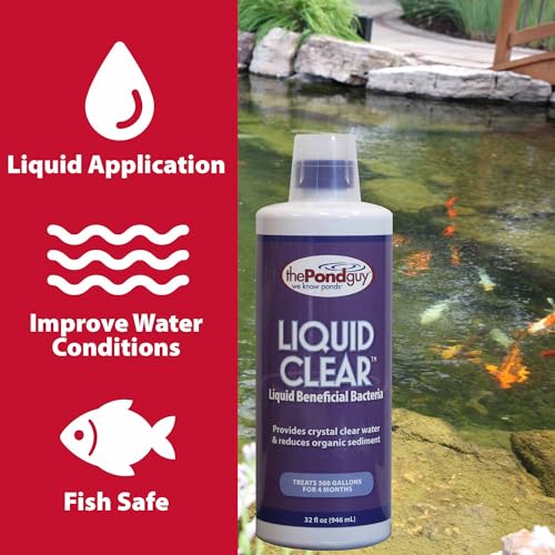 The Pond Guy LiquidClear Beneficial Bacteria Pond Cleaner for Outdoor Water Gardens & Small Ponds, Cloudy Water Reducer, Fish & Plant Safe, 1 Gallon - size: 1 Gallon