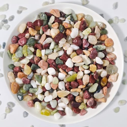 3Lb Pebbles for Indoor Plants,River Rocks for Succulent Plants,Aquarium Gravel,Decorative Stones Bonsai Garden Pebbles,Aquarium Rocks for Landscaping,Plants,Vase Fillers (Multicolor) - color: Multicolor