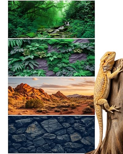 Breling 4 Pcs Reptile Habitat Background with Nano Glue Gobi Sun Cactus Stone and Green Tree Fern Stream Terrarium Background Polyester Durable Aquarium Accessories (Style2,36 x 18 Inch) - color: Style2, size: 36 x 18 Inch