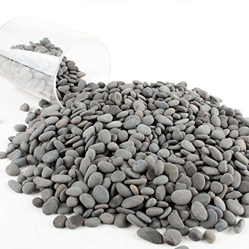 Black Rock, CJGQ 3lb River Rocks Pebbles for Plants Succulents, Decorative Outdoor Landscaping Garden Rocks, Natural Small Mexican Beach Pebbles Aquarium Rocks Gravel for Fish Tanks Vase Yard Decor - color: Black-Medium, size: 3lb