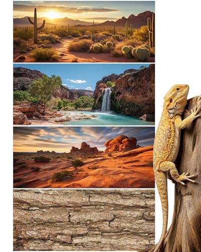 4 Pcs 36 x 18 Inch Reptile Tank Background Reptile Tank Accessories Polyester Terrarium Background Decor for Leopard Gecko Turtle Bearded Dragon(Canyon Waterfall, Bark, Cactus, Gobi Desert)