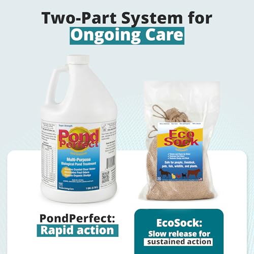 TLC Farm Pond Treatment – PondPerfect Liquid & EcoSock Dual System, Pond Bacteria for Larger Outdoor Ponds – 1 Box Treats Up to 1/4 Acre – 36 Gallon + 36 EcoSock - size: 36 Gallons + 36 EcoSocks