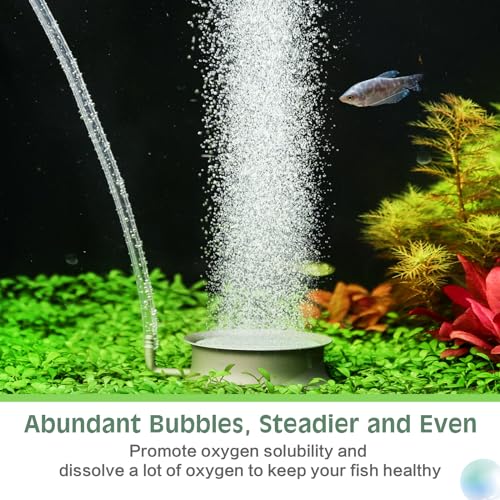 hygger Aquarium Air Stone Fish Tank Bubbler Quiet Ultra High Dissolved Oxygen Stone Fish Tank Air Stone Nano Bubble Airstone Stainless Steel Air Stones for Aquarium Fish Tank and Hydroponics-3.0inch - size: 3.0inch