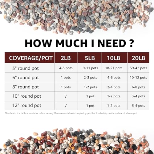 5lbs Natural Gravel Pebbles for Succulents and Cacti, 1/5 Inch Decorative River Stones – Perfect for Vases, Aquariums, Terrariums, and Outdoor Gardening, Mixed Colors (Mixed, 5 Pounds) - color: Mixed, size: 5 Pounds