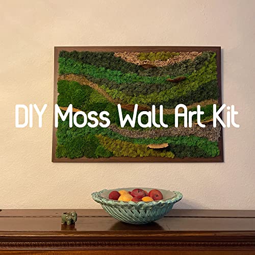 Preserved Sheet Moss Natural Green Decorative Real Natural Green DIY Kit Gardenning Art Wall Decor Florist Decor Easter Table Decor Wedding 2 sq.ft.Green-B - color: Green-b, size: 2.0 sq.ft.
