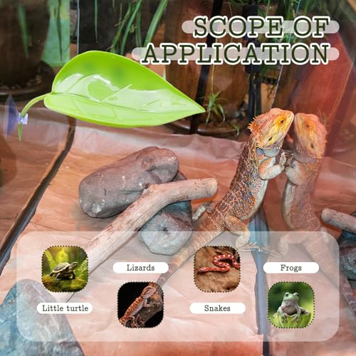Yitexin 6 Pieces 3 Colors Betta Hammock Pad with Suction Cups, Simulating Habitat Betta Leaf Basking Bed Platform, Small Resting Tank for Tree Frog Terrarium Turtle Fish Pet Accessories (3 Colors)