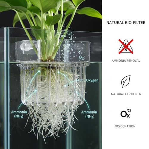 2 PCS Aquarium Plant Holder Top Hanging Fish Tank Live Plants, Betta Fish Tank Accessories Hydroponics Includes Java Moss, Monte Carlo, Frogbit, Duckweed & Weights