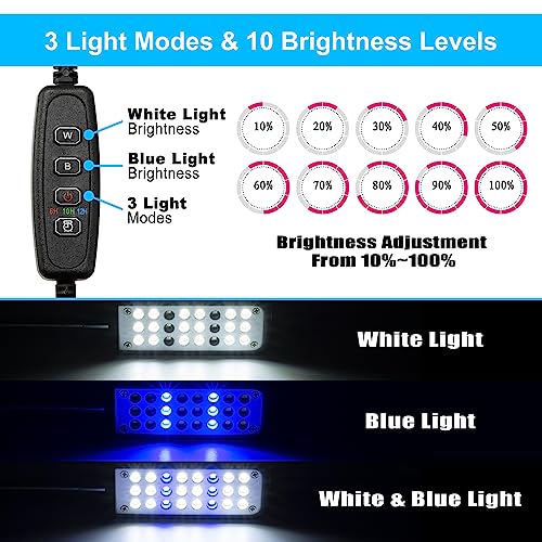 DaToo Aquarium Light Small LED Clip Light for Fish Tank 1.5W with Timer&Dimmer, 1 Yr Warranty - size: 1.5W (With Timer & Dimmer)