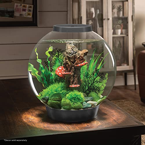biOrb Classic 30 Acrylic 8-Gallon Aquarium with White LED Lights Modern Tank for Tabletop Display, Silver - color: Silver, size: 8 Gallon, style: LED Lighting