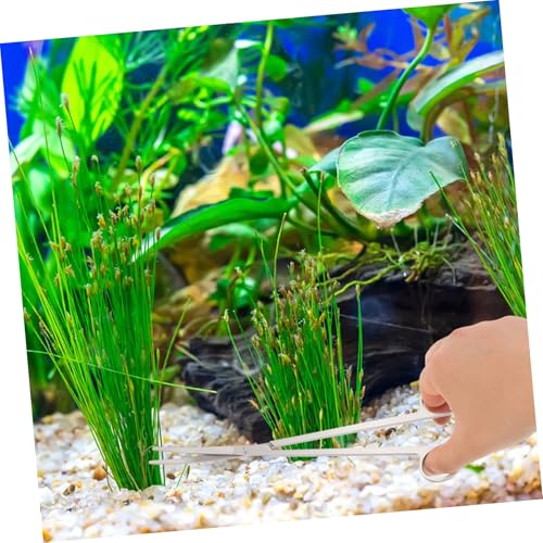 BESPORTBLE Ergonomic Water Plant Scissors Tweezers Set Aquarium Cleaning Tools for Levels of Hobbyists