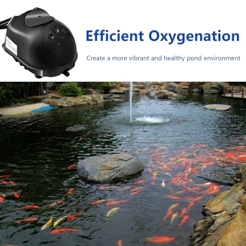 Luckerain Pond Aerator - 16000 Gallon Aerator for Outdoor Ponds, 2 Weighted Air Lines and 2 Submersible Diffusers, Black - size: 2 Diffusers / Up to 16000 Gallon