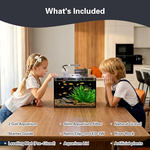 2 Gallon Small Aquarium Set Glass Fish Tank,Desktop Small Aquarium Kit for Beginners and Children to Keep Betta Fish, Goldfish, Shrimp, and Aquatic Plants (Black, 2 Gallon (Complete Kit) ﻿) - size: 2 Gallon (Complete Kit) ﻿