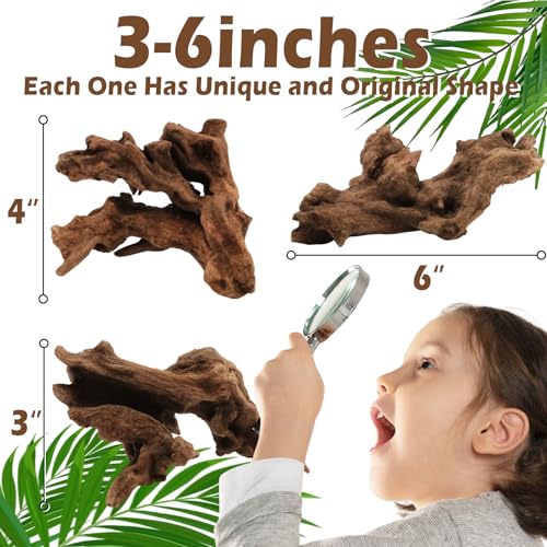 6PCS Natural Driftwood for Aquarium & Reptile Tank, 3–6 Inches Unique Wood Decor for Fish Tank, Turtles, Lizards, Snakes, Natural Driftwood for Home Decor