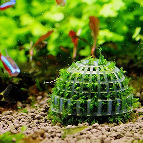 2PCS Aquarium Moss Ball Holder, Aquarium Landscaping Plants Holder Fish Tank Decoration for Aquarium Fish Tank