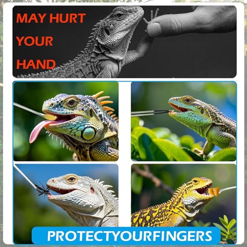 4 Pcs Reptile Feeding Tools Set with Silicone Tips - Extra Long Straight&Curved Tongs, Spoons - Stainless Steel Terrarium Feeder Kit for Bearded Dragons, Lizards, Snake, Spiders, Aquarium