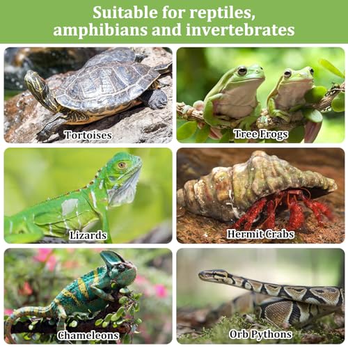 Riare 10LBS Expanded Clay Balls Terrarium Substrate for Reptiles - 100% Organic Lightweight Clay Pebbles Substrate Frogs False Bottom Substrate, Bioactive Terrarium Substrate for Drainage and Moisture