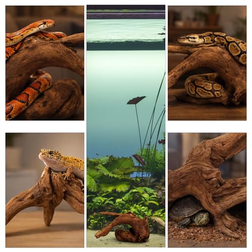 4PCS Driftwood for Aquarium, 1.96''-5.91'' Aquarium Driftwood, Fish Tank Driftwood, Ideal for Fish Tanks, Freshwater Aquariums, Terrariums（Random Style）